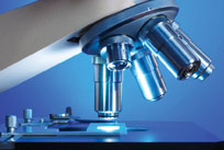 microscopeSM.jpg